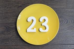 Figure twenty-three one-on-yellow plate. photo
