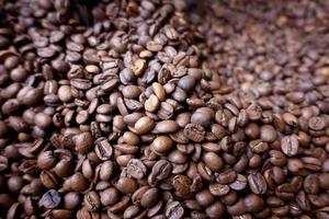 coffee beans under dramatic light