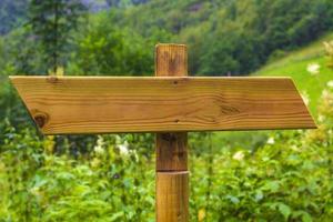 Signposting on hiking trail in forest nature landscape of Norway. photo