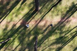 Top view of tourists relaxing in pine forest with shadow of trees photo