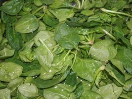 Spinach leaves background