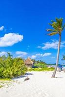 Tropical natural beach 88 palm tree Playa del Carmen Mexico. photo