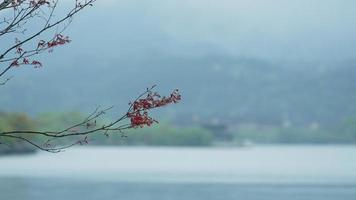 The beautiful lake landscapes in the Hangzhou city of the China in spring with the peaceful lake and fresh green mountains photo