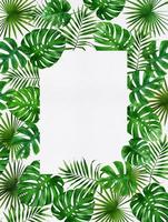 frame of tropical leaves watercolor photo