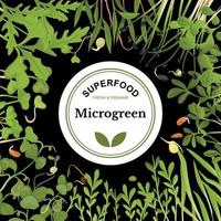 Colored Microgreen Frame vector