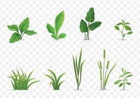 Grass Realistic Transparent Set vector