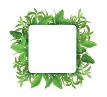 Grass Leaves Realistic Frame vector