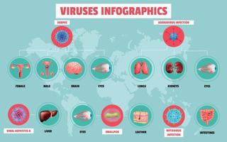 Realistic Viruses Infographics vector