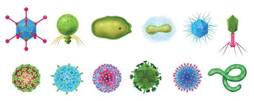 Viruses Realistic Icons Set vector