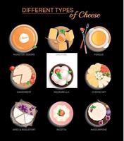 conjunto plano de tipos de queso vector