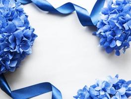 Blue hydrangea flowers photo