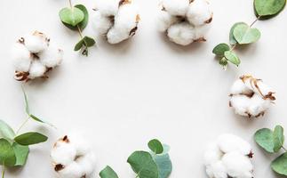 Cotton flowers and eucalyptus photo