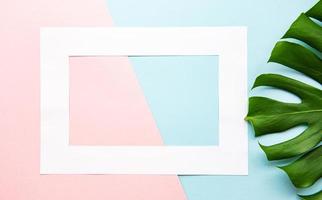 White frame and mostera leaf photo