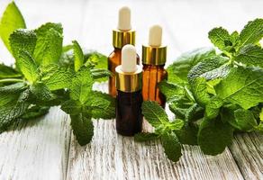 Organic mint oil and green leaves photo