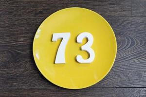 The number seventy-three on the yellow plate. photo