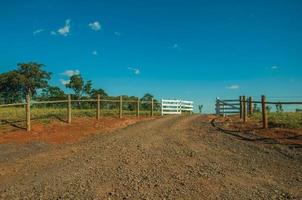 pardinho, brasil - 31 de mayo de 2018. puerta de madera de la granja y guardia de ganado en medio de la valla de alambre de púas, en un día soleado cerca de pardinho. un pequeño pueblo rural en el campo del estado de sao paulo. foto