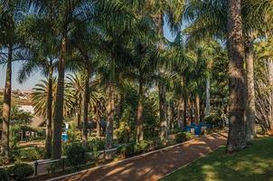 camino con adoquines en medio de un exuberante jardín lleno de altos árboles y palmeras, en un día soleado en sao manuel. un lindo pueblito en el campo del estado de sao paulo. sudeste de brasil. foto