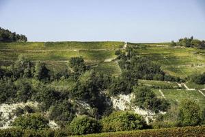 las colinas llenas de viñedos de santo stefano belbo, la zona del vino moscatel en piamonte, inmediatamente después de la vendimia en otoño foto