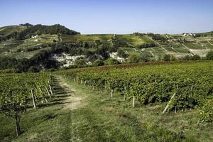 las colinas llenas de viñedos de santo stefano belbo, la zona del vino moscatel en piamonte, inmediatamente después de la vendimia en otoño foto