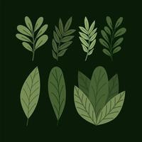 seven green leaves vector