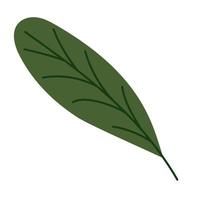 nice green leaf vector