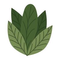 nice leaves design vector