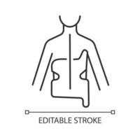 Scoliosis brace linear icon. Spine curvature correcting method. Spinal deformation prevention. Thin line customizable illustration. Contour symbol. Vector isolated outline drawing. Editable stroke