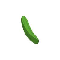 Isolated cucumber vegetable vector design