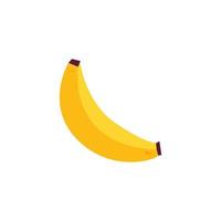 diseño de vector de fruta de plátano aislado