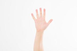 hand isolated on white.Voting hand. Mock up. Copy space. Template. Blank. photo