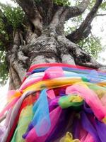 Bodhi Tree with colorful cloth wrapped around the tree shows respect and worship. photo