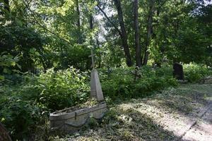 el viejo cementerio abandonado y las tumbas cubiertas de maleza foto
