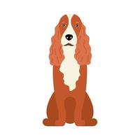 Raza de perro cocker spaniel americano o inglés canino sobre un fondo blanco aislado. ilustración vectorial de un piso para mascotas vector