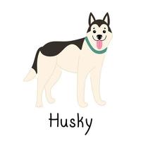 Cute smiling Siberian husky stands isolated on a white background with a signature. Vector flat illustration