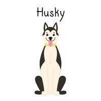 lindo sonriente husky siberiano se encuentra aislado en un fondo blanco con una firma. vector ilustración plana