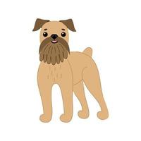 raza de perro lindo grifo bruselas marrón. ilustración vectorial de animal de compañía