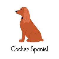 Raza de perro cocker spaniel americano o inglés canino sobre un fondo blanco aislado. ilustración vectorial de un piso para mascotas vector