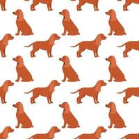 patrón sin fisuras con la raza de perro cocker spaniel americano o inglés canino. diseño de tela con perro de dibujos animados. ilustración vectorial de un piso para mascotas vector