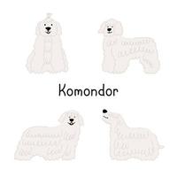 un conjunto de perros de raza komondor o pastor húngaro en diferentes poses. ilustración vectorial de un piso para mascotas vector