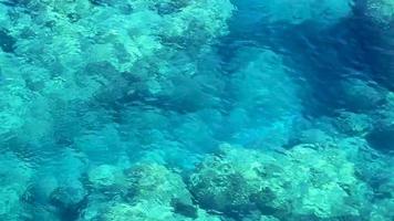 anthony quinn bay com águas cristalinas turquesa faliraki rhodes greece. video