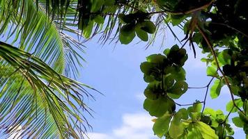 fantastisch schöner Panoramablick vom Silver Beach Koh Samui Thailand. video