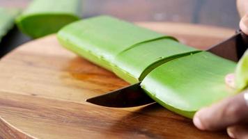 cutting fresh Aloe vera sliced on a chopping board video