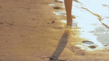 une fille méconnaissable et insouciante se heurte aux vagues peu profondes de l'océan au coucher du soleil exotique video