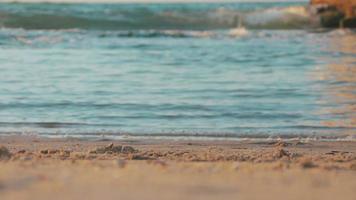 Carefree unrecognizable girl runs into shallow ocean water waves at exotic sunset video