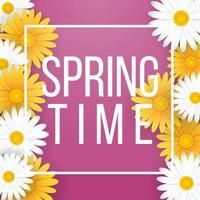 Spring time background with beautiful white and yellow flowers vector