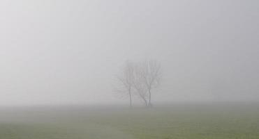 niebla en el campo al amanecer foto