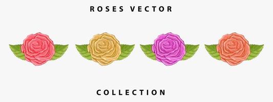 roses vector collection. hand drawn watercolor roses. roses vector design