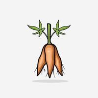 cassava illustration simple style, cassava isolated design, cassava vector on white background