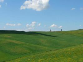 The hills in Siena photo