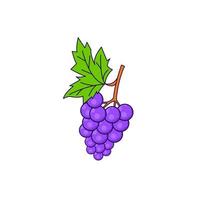 Ilustración de uva de fruta con estilo simple, vector de uva, diseño aislado de uva de fruta